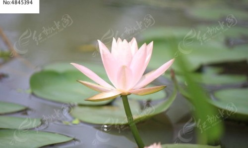 手掉皮掉得很严重用什么药膏-手掉皮出汗网 | 手掉皮掉得很严重用什么药膏,手掉皮