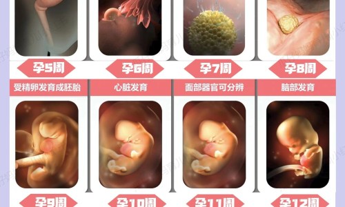 手掉皮出汗网 | 手掉皮掉得很严重用什么药膏,手掉皮